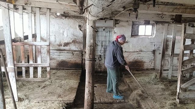 Поработали на хоз дворе смотреть онлайн