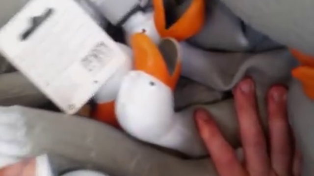 Duck Army