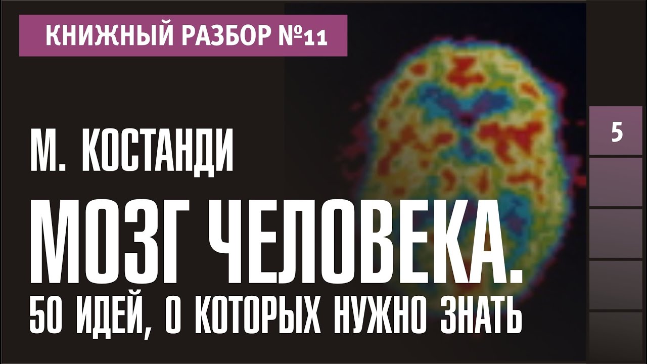 Brain 11. Мохеб Костанди: Нейропластичность. 50 Идей о которых нужно знать мозг человека. Нейропластичность книга Мохеб Костанди.