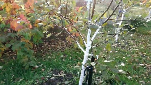 ОПРЫСКИВАТЕЛЬ АККУМУЛЯТОРНЫЙ КОМФОРТ УМНИЦА смотреть онлайн