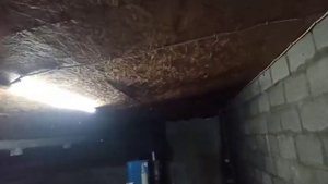 Обмін досвідом.Что будет с потолком в свинарнике,если подшить ОСБ?Опыт подписчика Павла.Свиноводств
