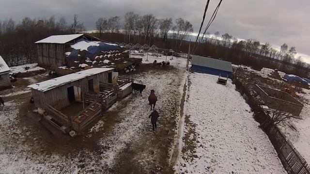 я без страховки) смотреть онлайн