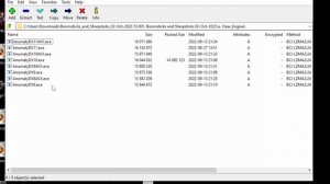 Stalker Anomaly Guide How to Install BAS on 1.5.2