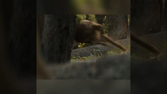 Добыча (2022)? смотреть онлайн