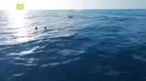 Игорь Саруханов Николай Трубач -  Лодочка, плыви