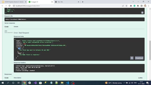 JSON Property Names In Validation Errors[.NET 7 Feature]