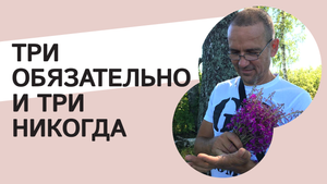 Три обязательно и три никогда