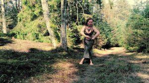!The birch tree