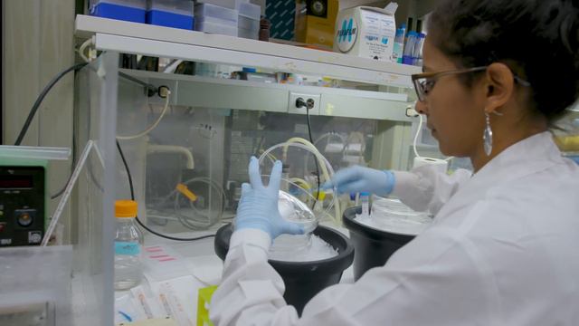 The Pioneering Work of Biologist Joan Steitz смотреть онлайн