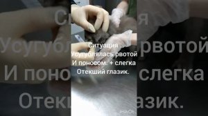 УМОЛЯЮ, ПОМОГИТЕ СПАСТИ КОТЕНКА😭 Карта сбербанка привязана к 89516885562 (Маргарита Олеговна В)