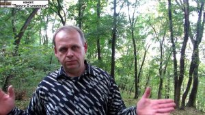 Принципы поиска энергии ЭФИРА 2 (второе магнитное поле)