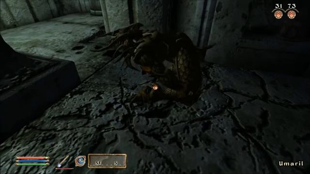 TES Oblivion Episode 73: From Crusader to Gladiator.