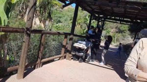 Гуляем дальше по зоопарку.... #spain #zoo #жизньвиспании #vlog