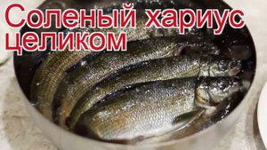 Рецепты из хариуса - как приготовить хариуса пошаговый рецепт - Соленый хариус целиком