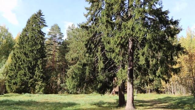 Красота осени!