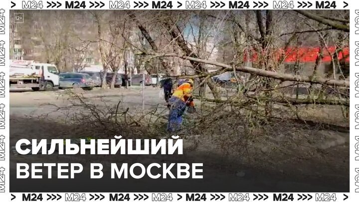 Городские службы ликвидируют последствия сильного ветра в Москве - Москва 24