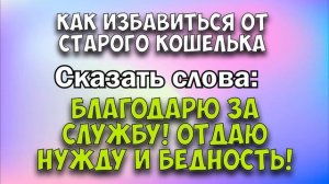 СТАРЫЙ КОШЕЛЕК. КУДА ДЕТЬ И КАК ПРИВЛЕЧЬ ДЕНЬГИ И ДЕНЕЖНУЮ УДАЧУ