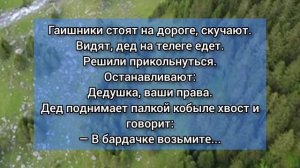 Тёща советует зятю купить виагру Анекдоты от Василича