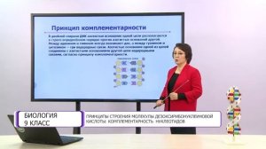 Биология. 9 класс. Принципы строения молекулы дезоксирибонуклеиновой кислоты: