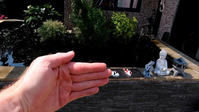 Adding Another Tier To The Bakki Shower смотреть онлайн