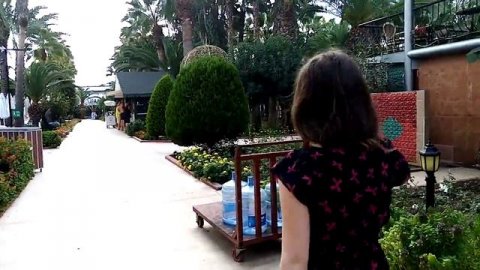 Обзор отеля Delphin Deluxe Resort - Турция, Аланья