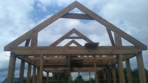 Строю каркасную баню сам. (стараюсь что бы вышло не дорого)