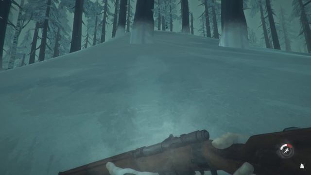 Медведь вышел на охоту ● The Long Dark: Wintermute Episode 2 #6 смотреть онлайн