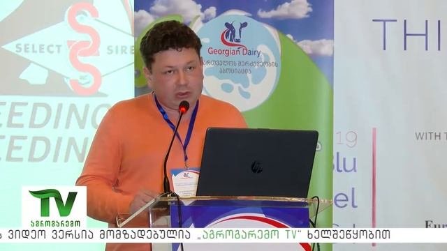Зерновой откорм бычков молочных пород