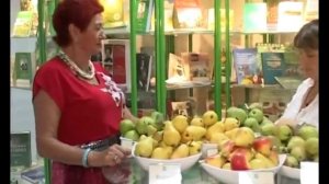 Сливы и Груши для Подмосковья. Эксперт Института Садоводства.