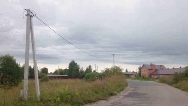 Псковские ласточки готовятся улетать на юг смотреть онлайн