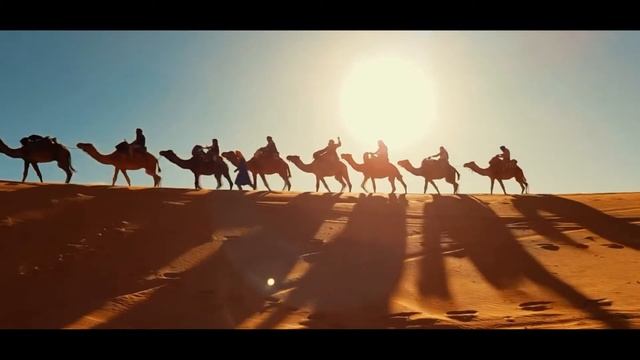 Монеты Центральной Азии в коллекции Отдела монет и медалей Фицвильямского музея смотреть онлайн