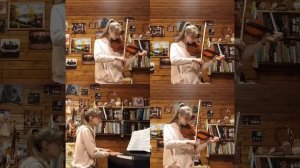 Е. Ширяев - музыка из сериала "Дом с лилиями" (cover)