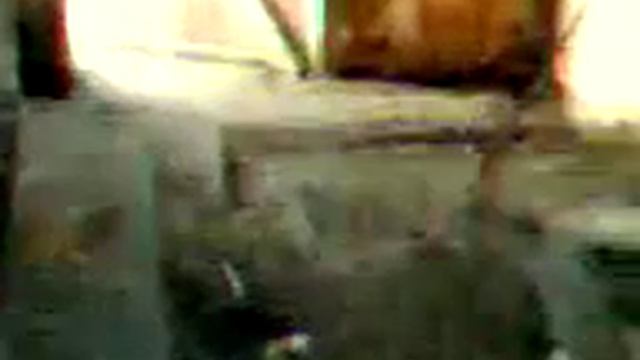 Ежик крутит яйцо! смотреть онлайн