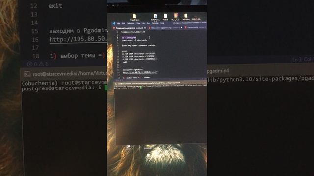 №10.1 Настройка PgAdmin4,создание пользователя, базы данных, подключение для Django, Python
