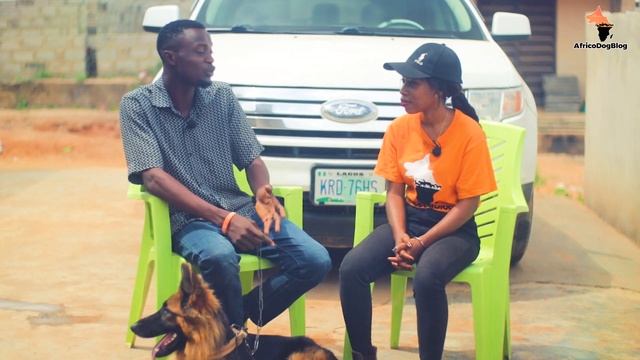 THE ESSENCE OF DOG MARKETING IN BREEDING || DOG BREEDING смотреть онлайн