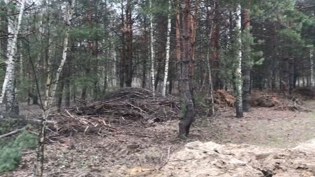 Участок в лесу село Горицы СНТ Зелёный Бор смотреть онлайн