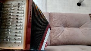 Разбор на гармони:"Белые розы"(Ю.Шатунов)