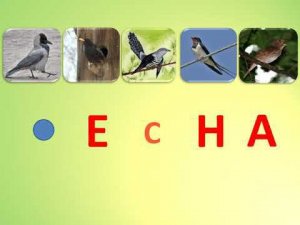 Коррекционно-логопедическое занятие по преодолению дисграфии в 3 классе