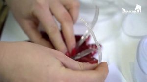 Как сделать розетку для лошади своими руками? Онлайн школа Эклектика