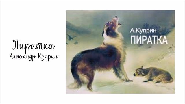 Пиратка смотреть онлайн