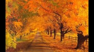 волшебная осень