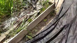 Борьба с Пыреем  Делаем дорожки  Стелим Агроволокно