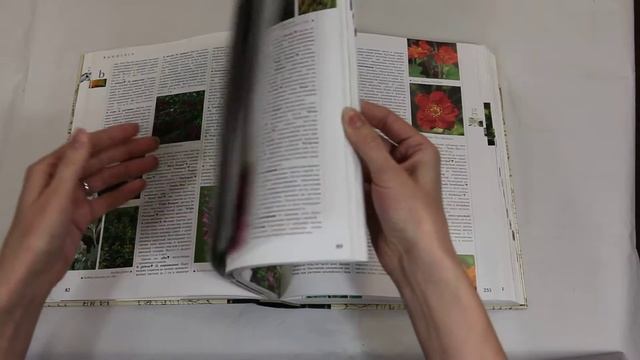 Энциклопедия садовых растений