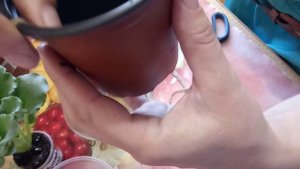 ПРОБУЮ ПЕРЕВЕСТИ ФИАЛКИ  НА ФИТИЛЬНЫЙ ПОЛИВ !