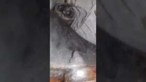 Снятие стартера Mercedes w210