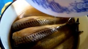 ?Скумбрия горячего копчения. Засол. Пошаговый рецепт. Просто бери и делай.