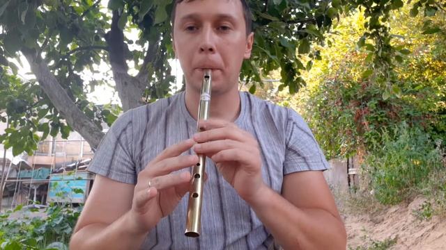 Обзор на Тин Вистл в До из Латуни(Tin Whistle C Key Brass)#8 смотреть онлайн