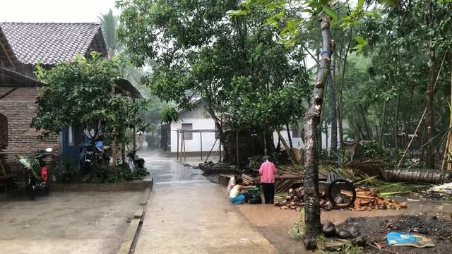 [4K Walk] Heavy Rain Flushing Village In The Afternoon | Slept well with heavy rain on Village road смотреть онлайн