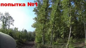 Нагонка гончей проба №1 встречи на нагонке Русские пегие гончие