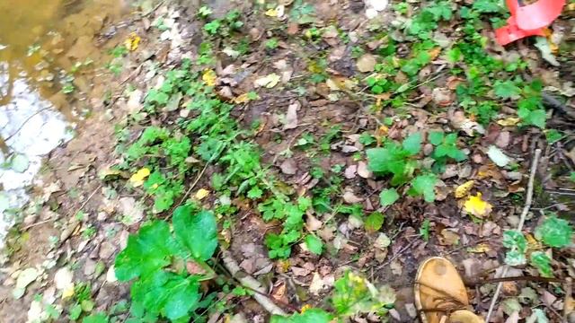 800 КГ В НИВУ! БЫЛО ТЯЖЕЛО, НО ОНА СМОГЛА! НЕ ПОВТОРЯТЬ. КОП МЕТАЛЛОЛОМА смотреть онлайн